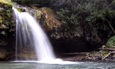 Скачать обои: Лесной водопад

